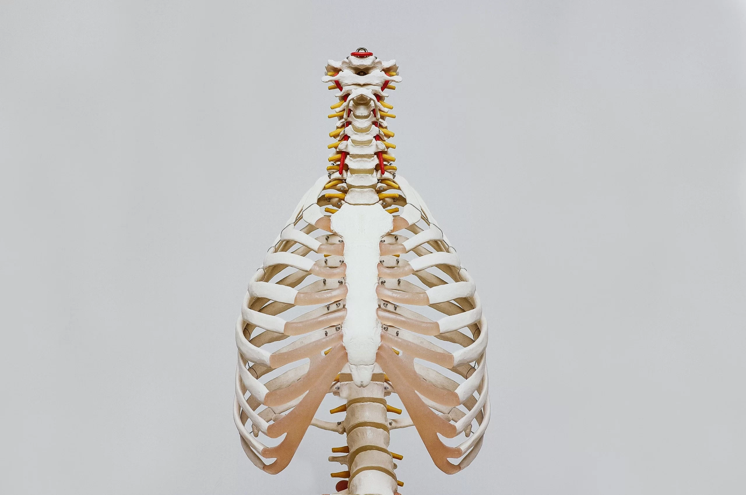 What's a Rib Flare?  Core Connection Mobile Physiotherapy