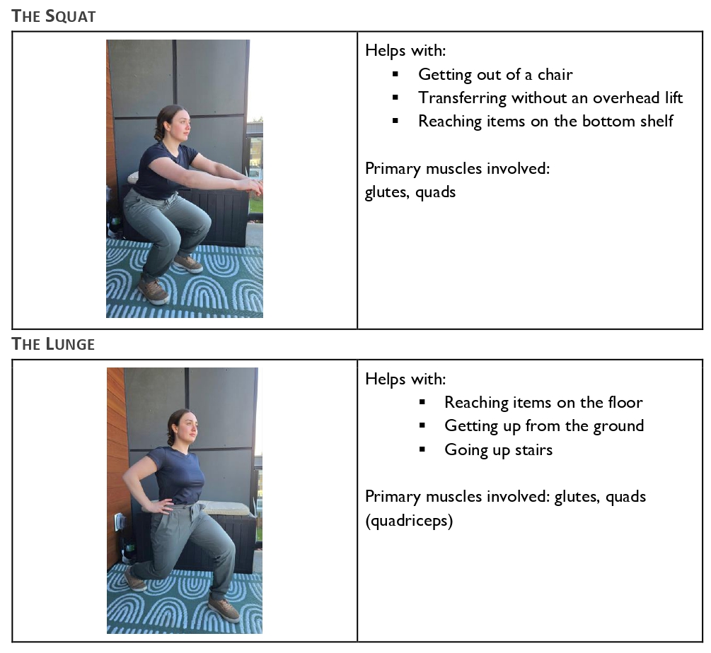 What are Functional Movements