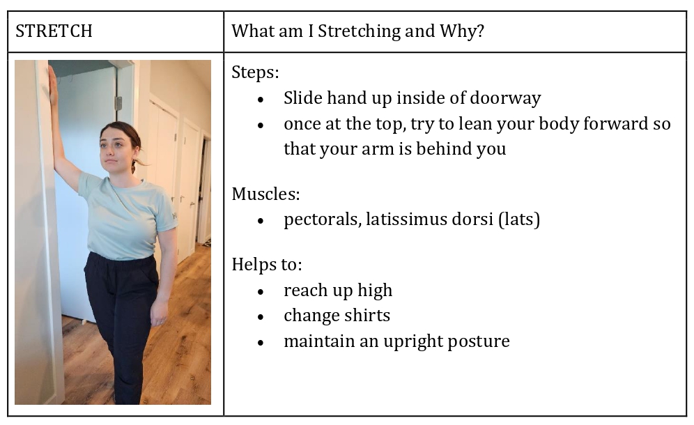 Stretching and Mobility